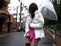 Sample 31
