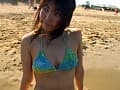 Sample 29