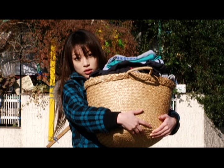 Sample 4