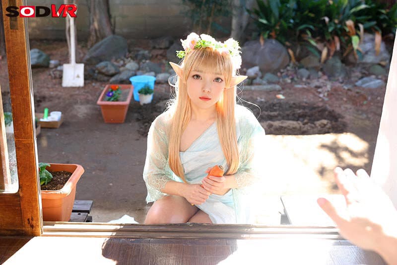 Sample 5