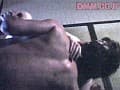 Sample 31