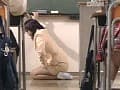 Sample 33