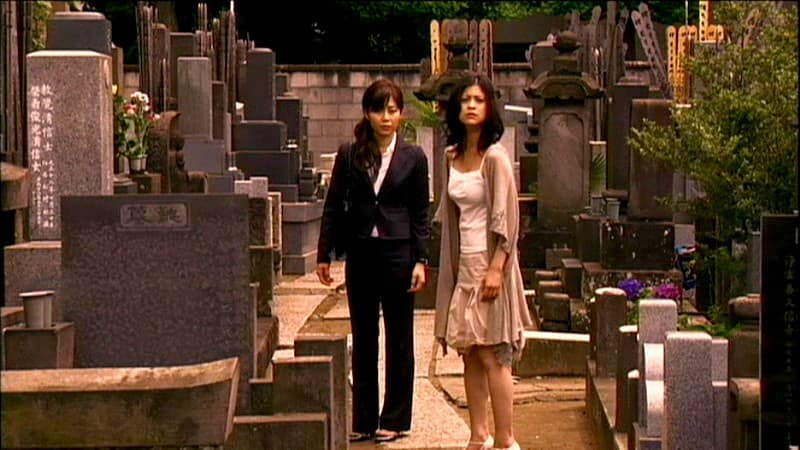 Sample 20