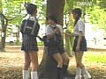 Sample 31