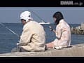 Sample 33