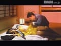 Sample 29