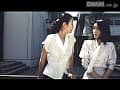 Sample 29