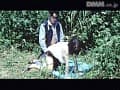 Sample 26