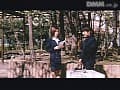 Sample 34