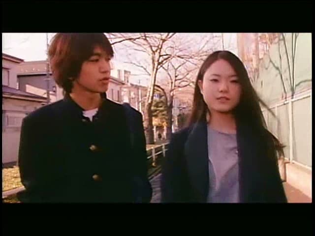 Sample 4
