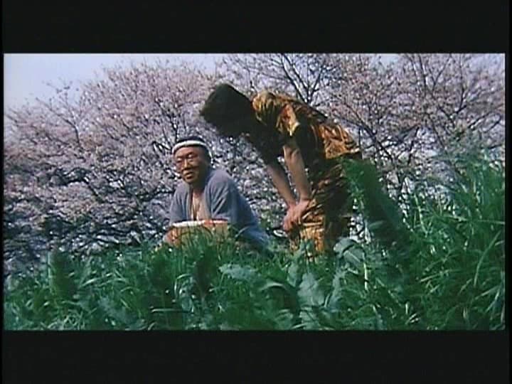 Sample 20