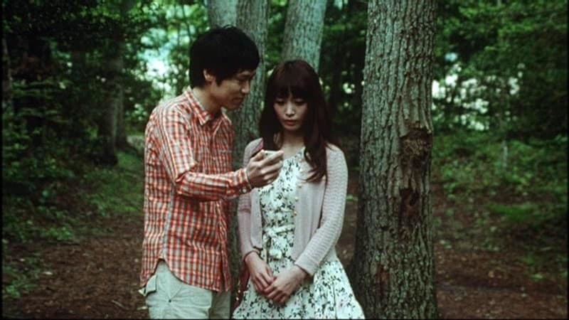 Sample 5