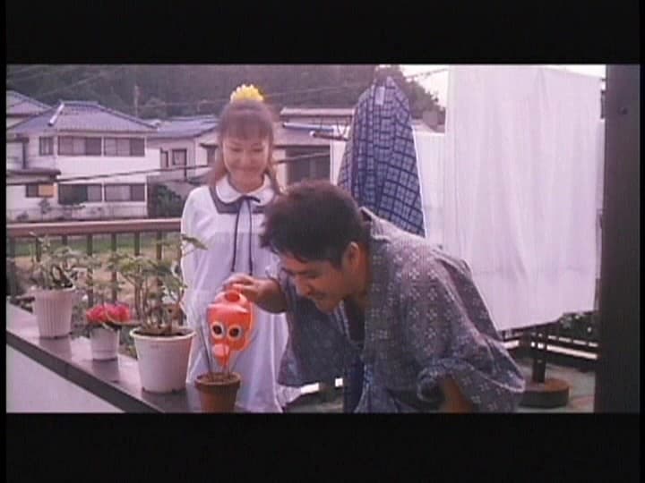 Sample 5