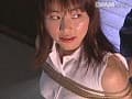 Sample 8