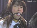 Sample 31