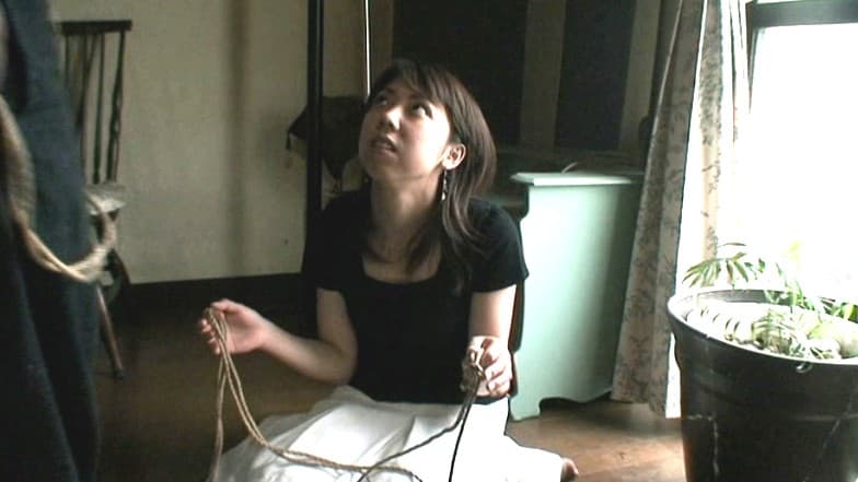 Sample 4