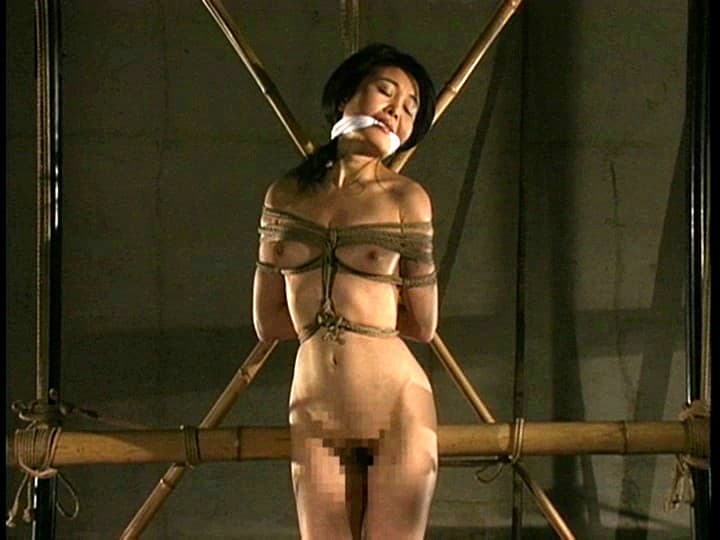 Sample 16