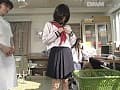 Sample 13