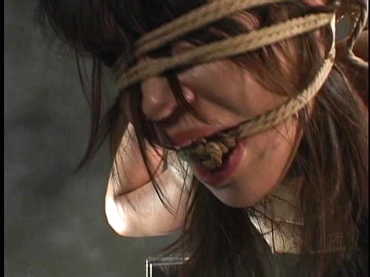 Sample 8