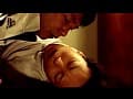 Sample 31
