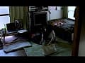 Sample 39