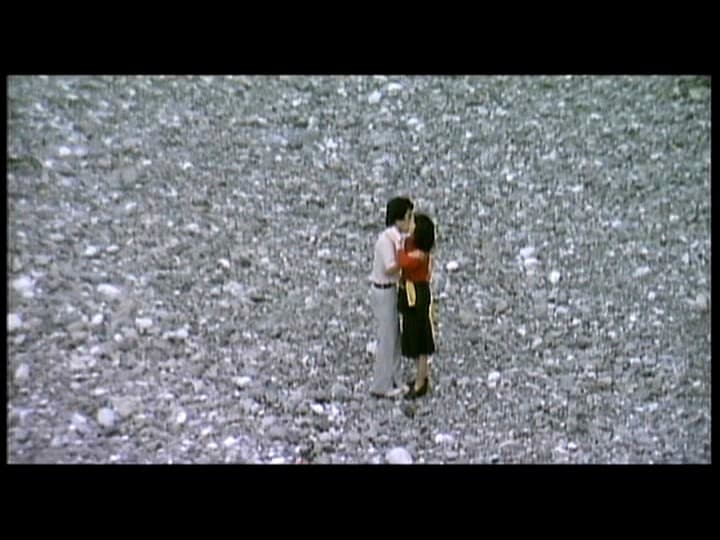 Sample 5