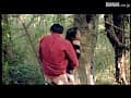 Sample 26