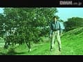 Sample 38