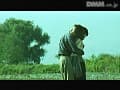 Sample 39