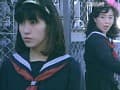 Sample 4