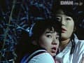 Sample 28