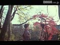 Sample 14