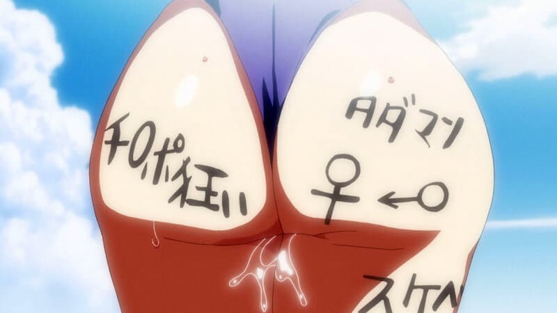 Sample 15