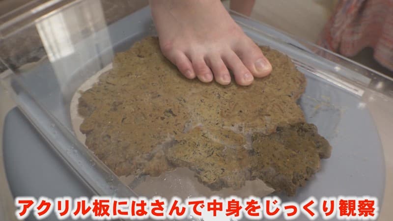 Sample 11