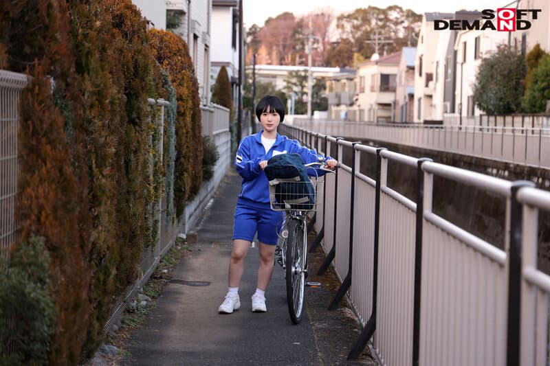 Sample 12