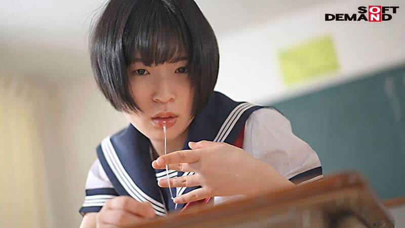 Sample 5