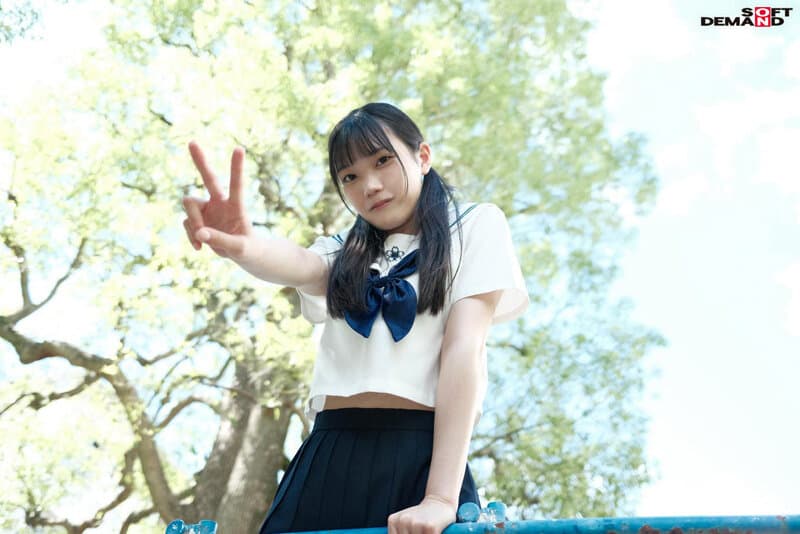 Sample 16