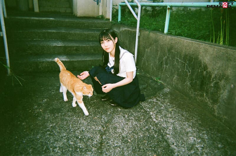 Sample 18