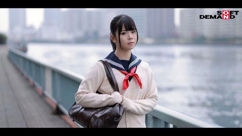 Sample 4