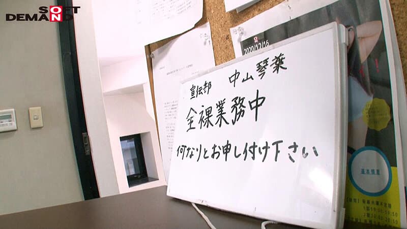 Sample 10
