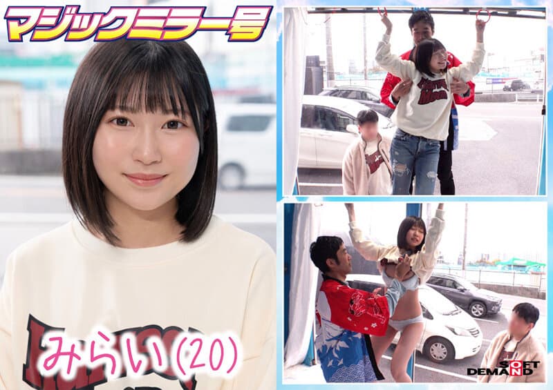 Sample 4
