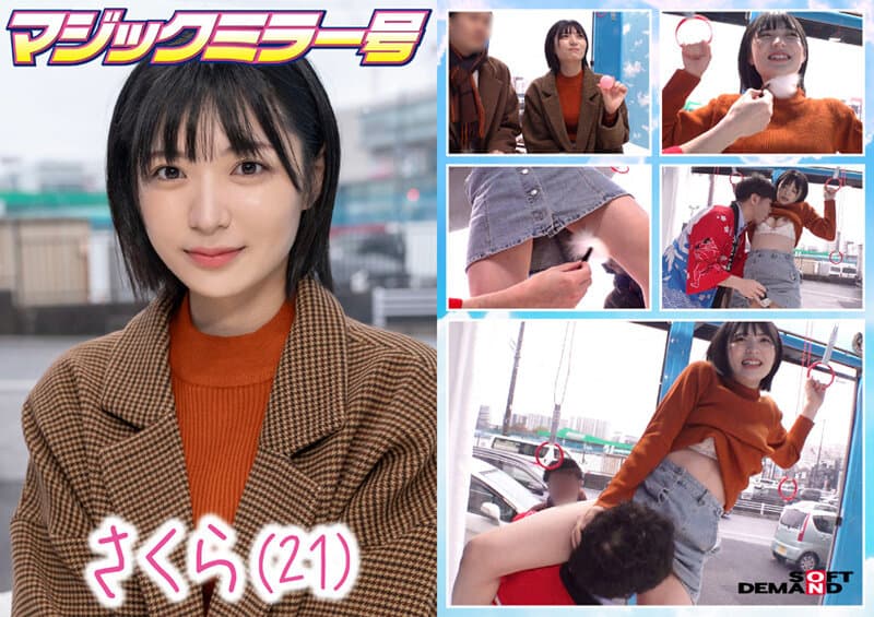 Sample 8