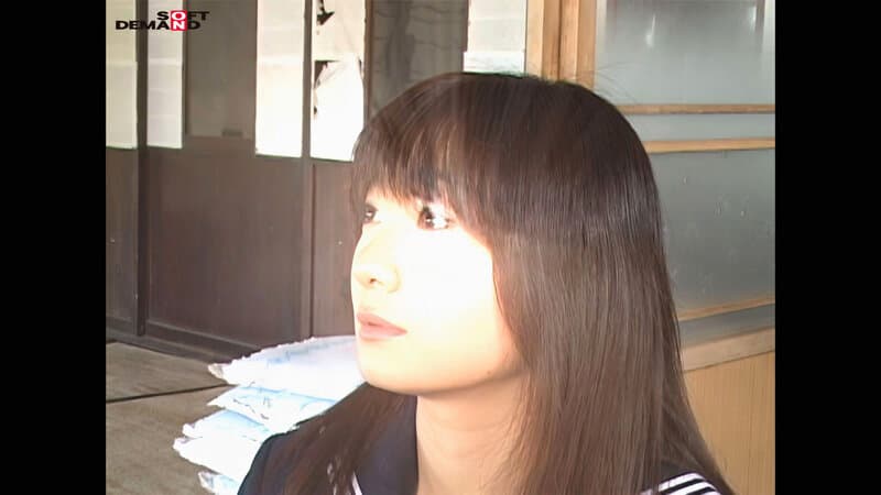 Sample 4