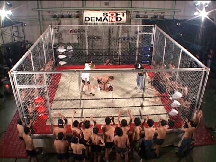 Sample 4