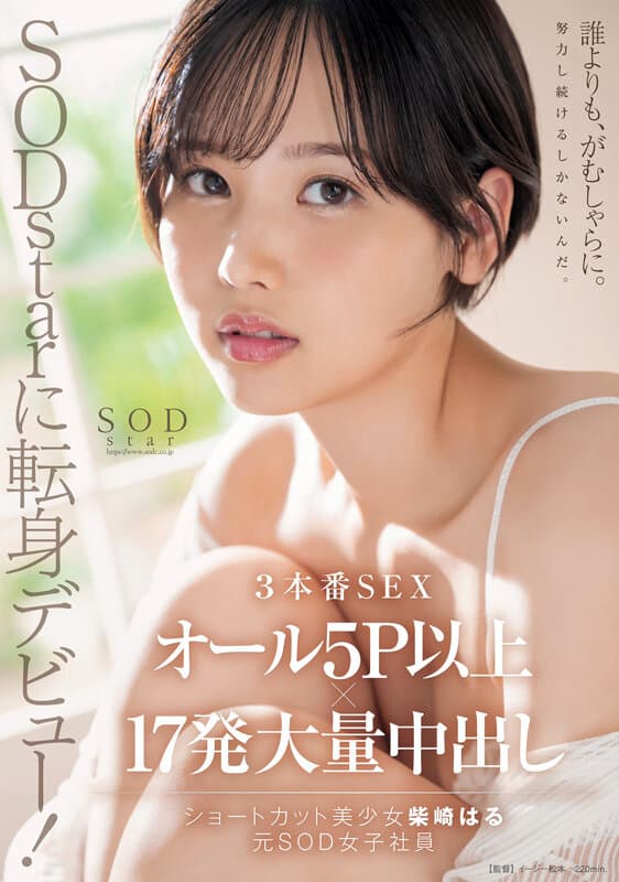 Sample 12