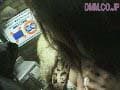 Sample 35