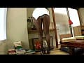 Sample 7