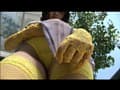 Sample 7