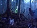 Sample 16