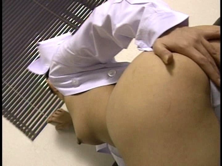 Sample 13